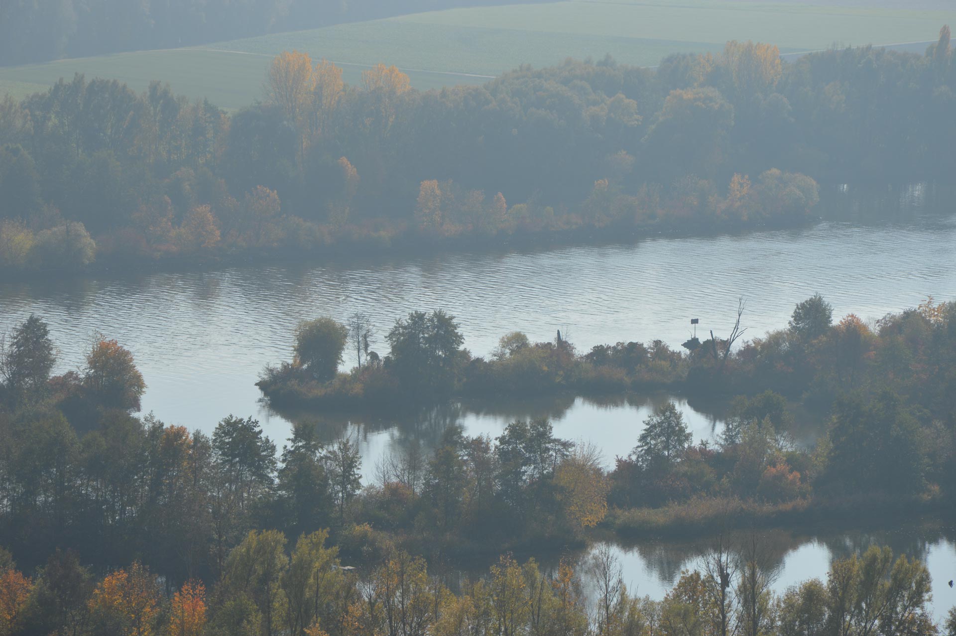 Panorama Blick auf Donau mit bewaldeten Flussufern