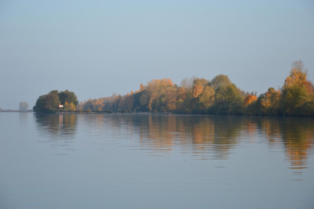Donau mit herbstlich bewaldetem Flussufer